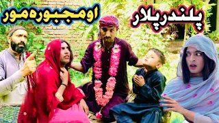 palandar plar aw majboora moor pashto new islahy video short drama 2026 by ali kpk vines