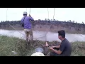 Download Lagu Find fish by using a net