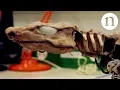 Video di Bringing a fossil to life: Reverse engineering locomotion