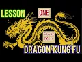 dragon kung fu for beginners with unique way full body workout while learning dragon kung fu