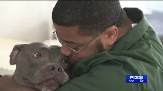 Inmates train rescue dogs with Paws of Purpose program on Rikers Island