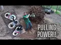 MECHANICAL ADVANTAGE FOR THE WIN Using Harbor Freight snatch blocks to remove a large tree stump