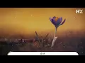 Mr. - 森林『其實 命運就像大廈』【動態歌詞Lyrics】