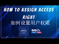 SQL ACCOUNTING How To Assign Access Right