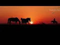 ALAN JACKSON |THE OLDER I GET| Tradução
