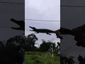 Download Lagu itu bukan pesawat tapi buaya terbang