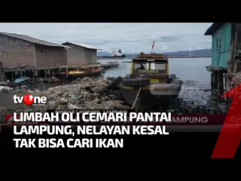 Fatal! Limbah Oli Cemari Pesisir Pantai Panjang, Bandar Lampung