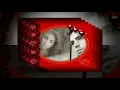Download Lagu George Baker Selection   Don`t Forget Me