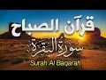Download Lagu سورة البقرة الشيخ مختار الحاج || Surah Al Baqarah Shiekh Mukhtar al Hajj