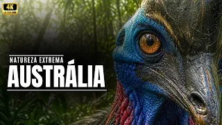 Austrália Selvagem!