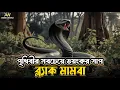 Download Lagu The most dangerous snake in the world | Black Mamba | Black mamba is the most dangerous snake | Ashik's World