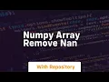numpy array remove nan