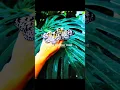 Download Lagu Love Me like You Do || Ellie Goulding || AestheticPriye || #lovemelikeyoudo #lovemusic #love