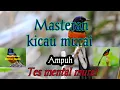 Masteran kicau Murai  Batu //Tes Mental Murai