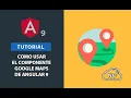 Como usar el Componente Google Maps de Angular 9