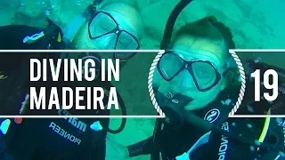 Sailing Around The World – Diving In Madeira – Living With The Tide – Ep19