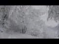 Download Lagu Arvo Pärt : Silentium