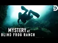What Did They Find During Cave Dive Mystery at Blind Frog Ranch Discovery
