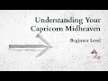 Capricorn Midheaven Beginner level Understanding Your Astrology Chart