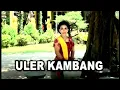 Download Lagu Ning Tutik - Uler Kambang | Dangdut (Official Music Video)