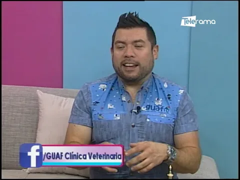 Beneficios de tener una mascota en casa