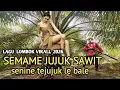 Lagu Sasak virall sindiran 2026 _Semame jujuk sawit senine tejujuk lek bale