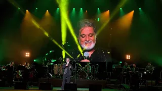 کنسرت داریوش آهنگ گلایه سراب رد پای تو اکتبر 2022 وین اتریش 4K 