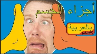 أجزاء الجسم للأطفال جديد ستيف وماجي بالعربية 