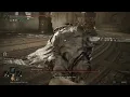 What Happens If You Give The Beast Clergyman All Deathroot Before Maliketh Elden Ring
