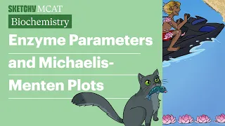 Enzyme Parameters and Michaelis-Menten Plots Biochemistry Sketchy MCAT