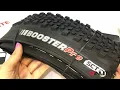 Cubierta Kenda Booster PRO Rod 29 x 2 4 Kevlar Tubeless Sin Limite Bikes