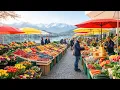 Lagu Ochtendmarkt in Zürich 🇨🇭 |  Wandelen in de mooiste stad van Zwitserland
