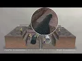 Drainage Pipe Installation Reinforced Concrete Plastic