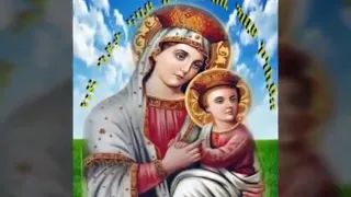 New Eritrean Mezmur ድንግል ማርያም ንዒ ናባና 