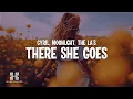 Download Lagu CYRIL, MOONLGHT \u0026 The La's - There She Goes (Lyrics)