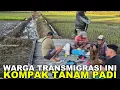 Download Lagu WUJUDKAN TIGA KALI PANEN DALAM SETAHUN; SEMANGAT BARU PETANI TRANSMIGRASI KALIMANTAN UTARA
