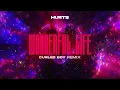 Download Lagu Hurts - Wonderful Life (Curled Boy Remix)
