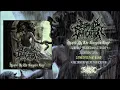 Download Lagu INSANITY DEIFICATION - SPARED BY THE GORGON'S GAZE [FULL EP STREAM] (2025) AS EXCLUSIVE