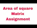 Matrix Assignment in ccbp ll area of square in Python ccbp