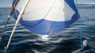 Downwind Sailing in Perfect Conditions | Chapter 3 Episode 34 | The Wayward Life