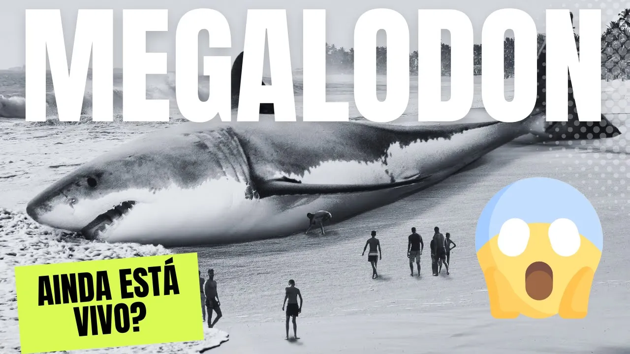 O Megalodon ainda está vivo? Teorias intrigantes sugerem que sim!