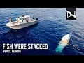 Fishing 90 MILES OFFSHORE for Monsters