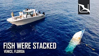 Fishing 90 MILES OFFSHORE for Monsters