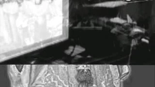 طاي طاي الورقلي 