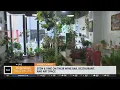 Stem and Vine does it all as a wine bar restaurant and art space Where s Miana