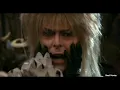 Labyrinth Photos has Returned