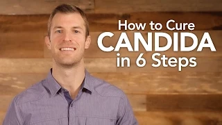 how to treat candida in 6 steps dr josh axe