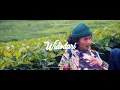 Denny Caknan ft. Guyon Waton - Widodari (Reggae Cover SMVLL \u0026 Edo Albatroz)