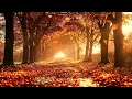 Lagu Музыка Для Души ,,ОСЕННЕЕ ОЧАРОВАНИЕ,, Музыка Сергей Грищук #музыкасергейгрищук #музыка