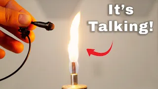 Can A Burning Bush Talk In Real Life  Can A Burning Bush Talk In Real Life